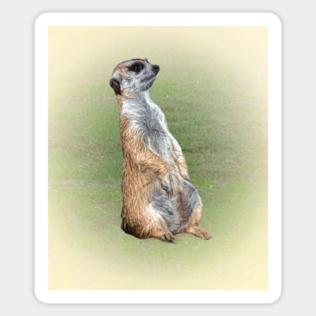 Meerkat Sticker by Guardi